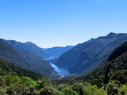 fjordland (26)